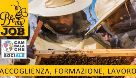 Bee My Job