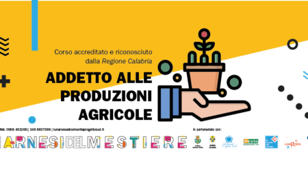 2019_adm_copertina